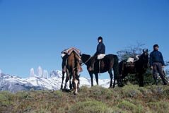 Torres del Paine and Horse Grazing