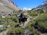 Horseback Riding in Yerba Loca