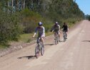 Biking in Chile Wine Country