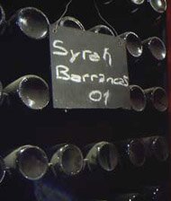 Syrah Wine